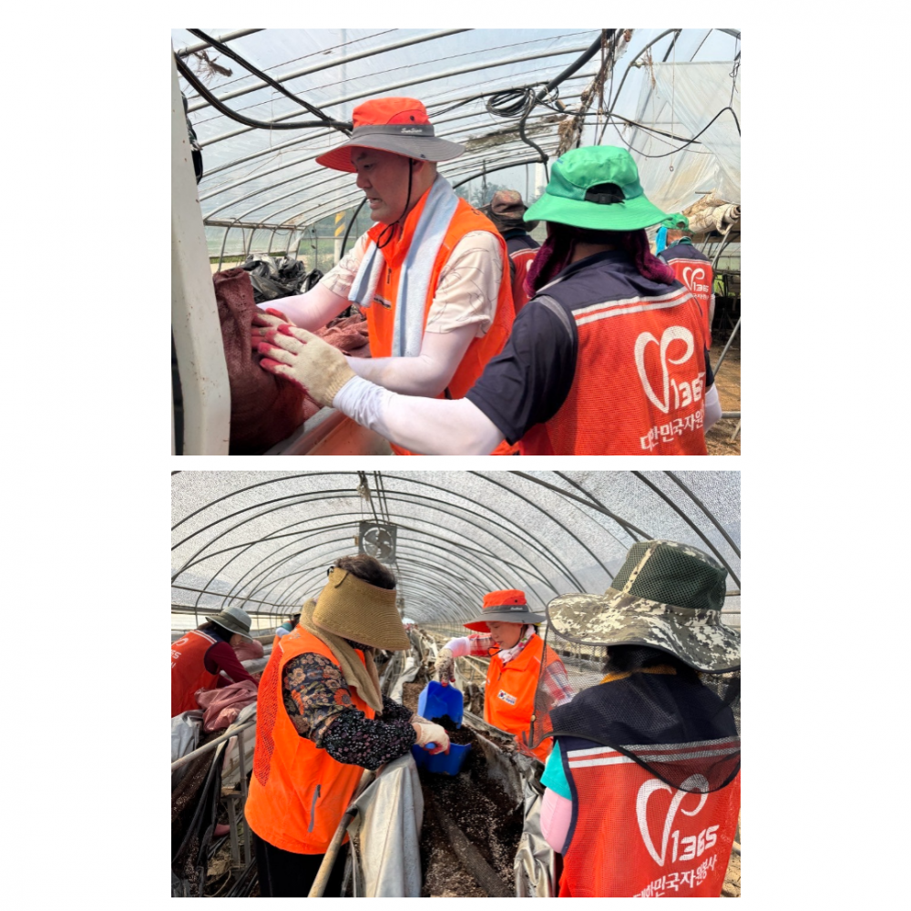 af2c2073fe90b8d8a1b7c73d744c4398_1762996